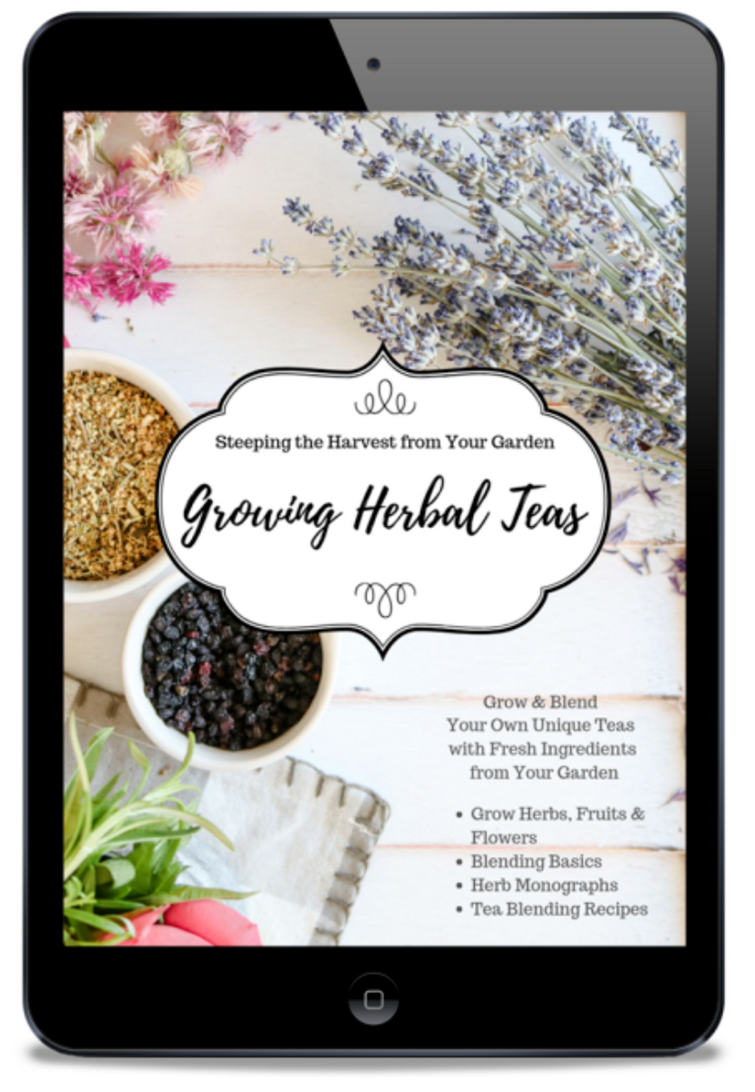 My Favorite Herbal Tea Recipes