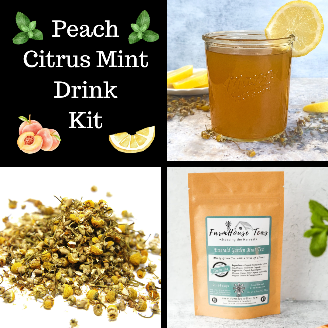 Peach Citrus Mint Drink Kit